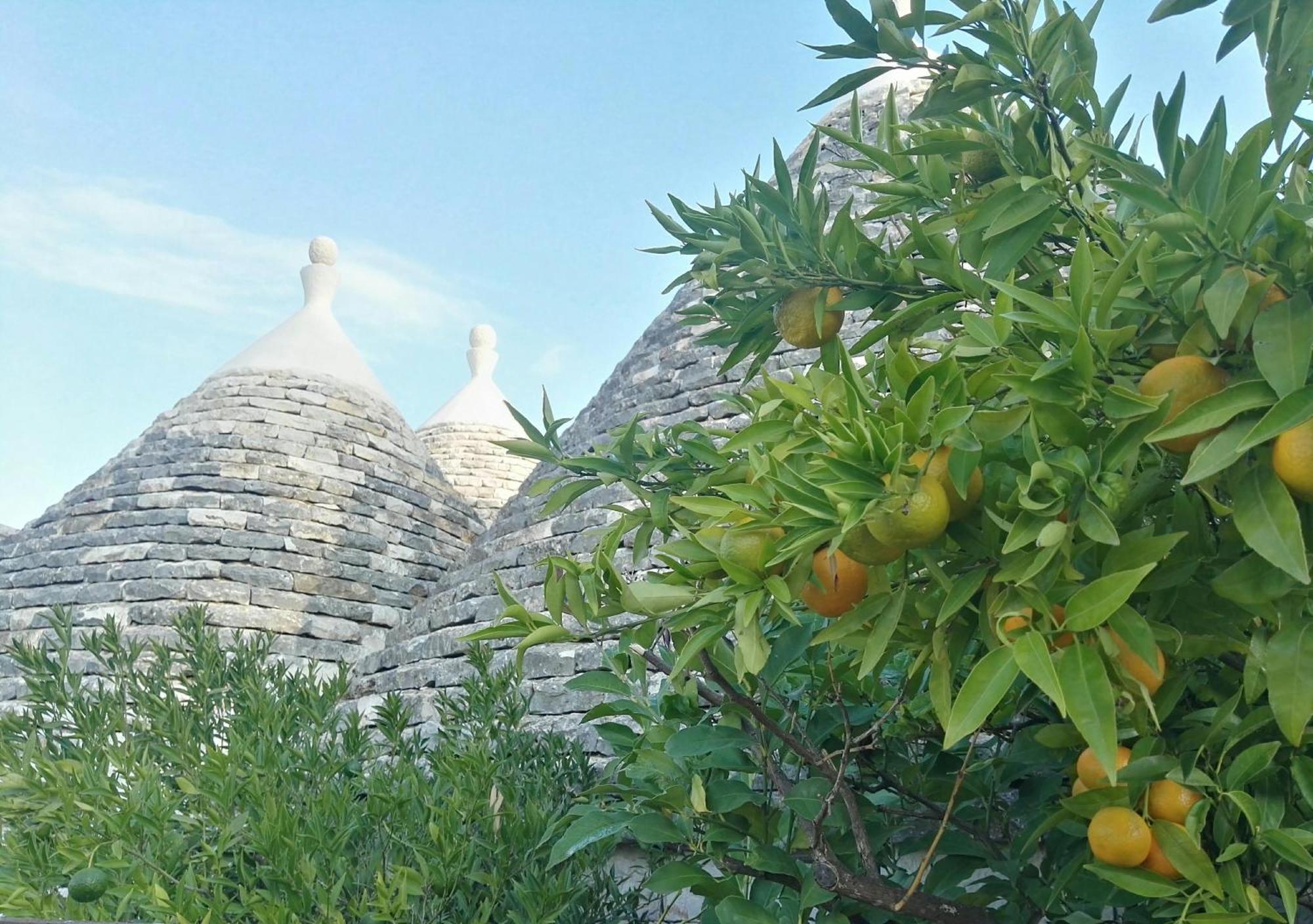 Trulli Sull'Aia San Michele Hotel Monopoli Exterior photo